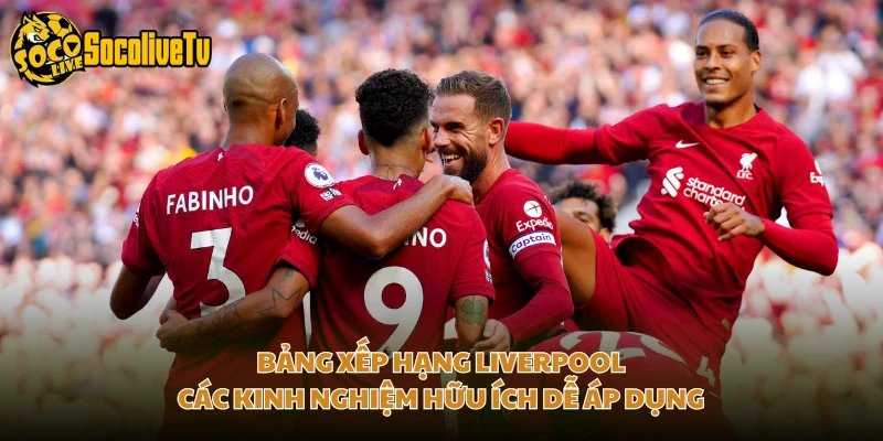 Bảng Xếp Hạng Liverpool – Các Kinh Nghiệm Hữu Ích Dễ Áp Dụng