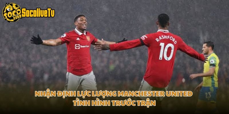 Nhận Định Lực Lượng Manchester United Tình Hình Trước Trận